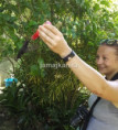 /album/fotogaleria-jamajka-capuccino-zajazd-vy-a-my/40-6-jpg/